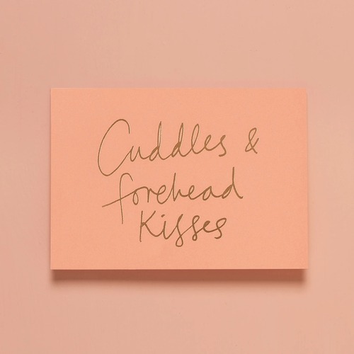 Cuddles and Forehead Kisses Coral