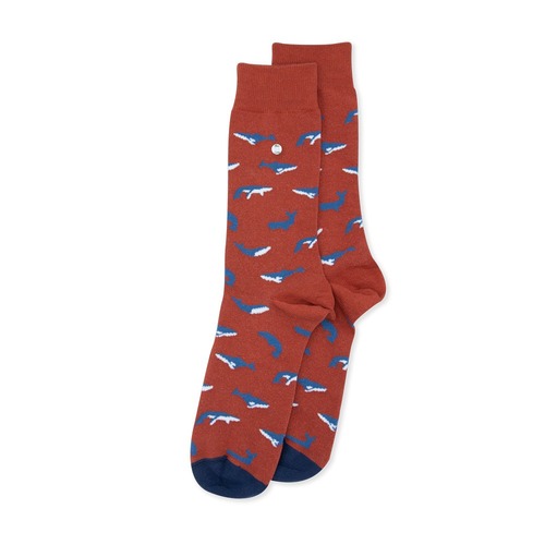 Whales Orange/Blue Socks - Medium