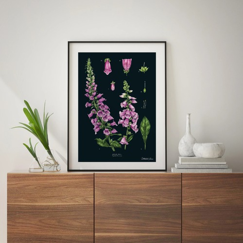 Foxglove Black Art Print