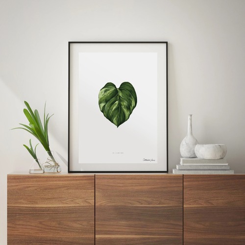 Golden Pothos Art Print