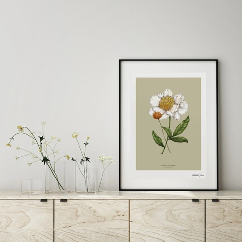 Botanical Peony Spring Blossom Art Print
