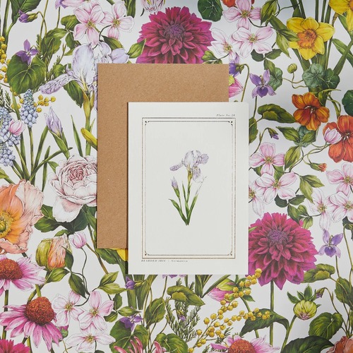 The Botanist Archive Everyday Edition - Bearded Iris
