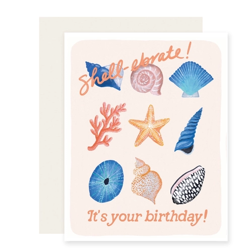 Shel-Ebrate Birthday