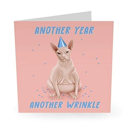 Sphynx Cat Another Year Another Wrinkle