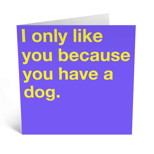 I Only Like You Because You Have A Dog