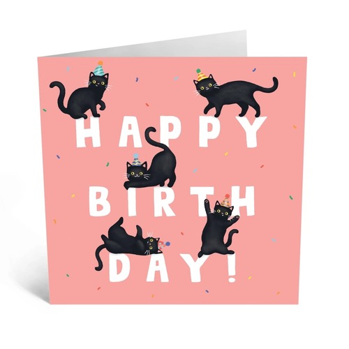 Birthday Cat Letters