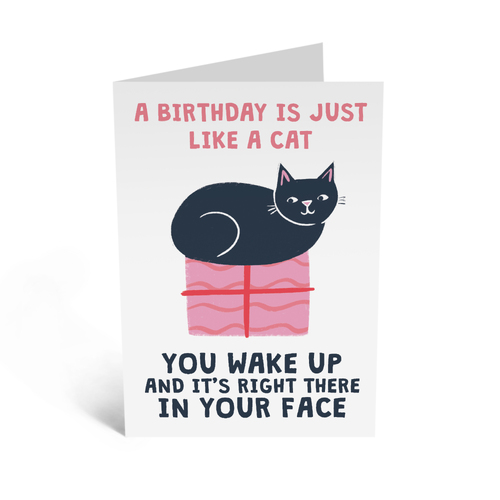 Just Like A Cat Birthday