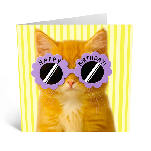 Cat Happy Birthday
