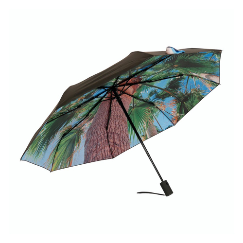 Paradise Umbrella