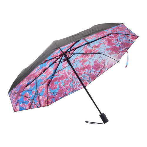 Cherry Blossom Umbrella