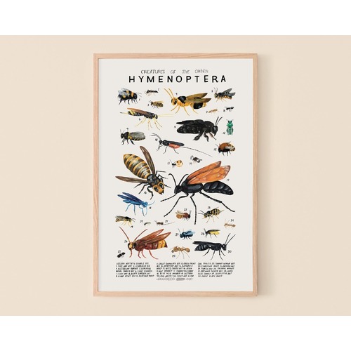 Hymenoptera Print