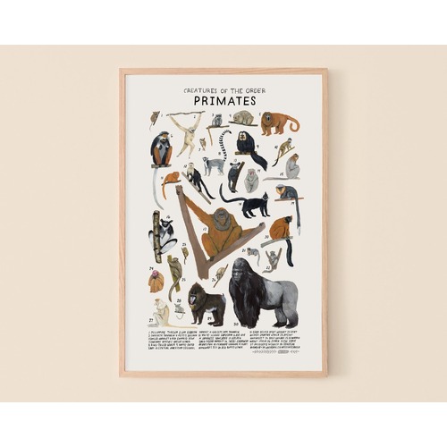 Primates Print