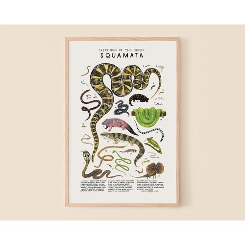 Squamata Print