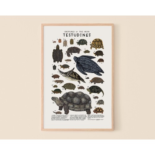 Testudines Print