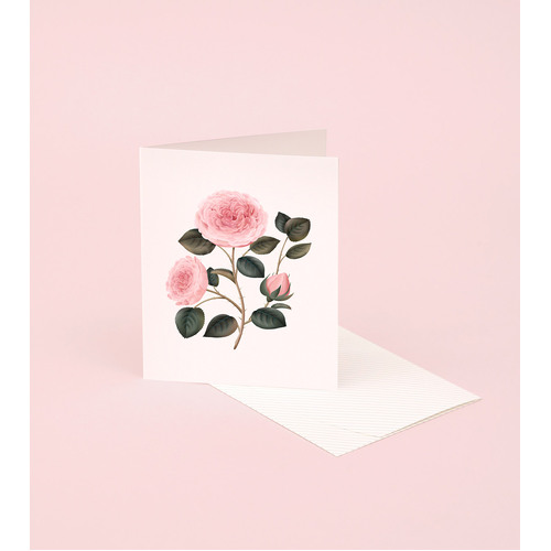 Botanical Scented Card - Bulgarian Rose
