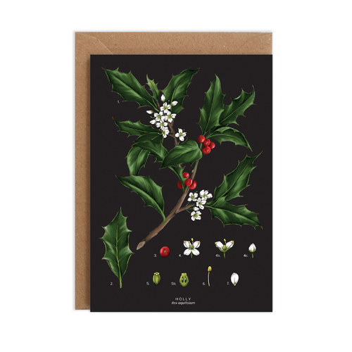 Species Christmas - Holly