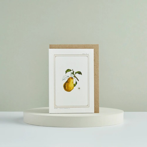 The Botanist Archive - Pear